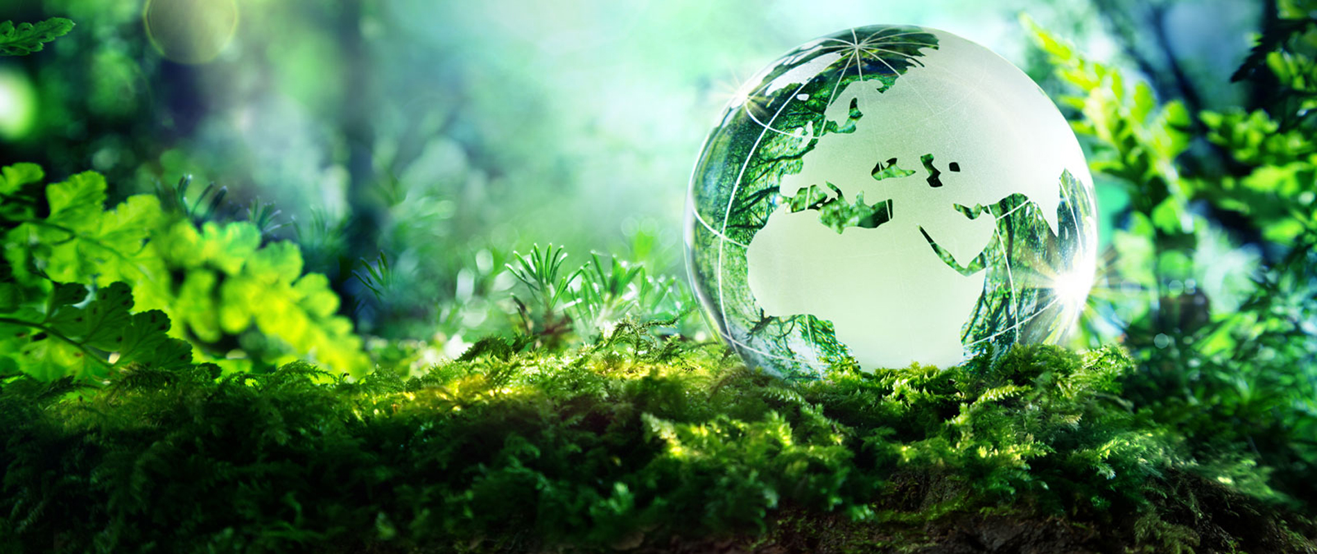 Medical Environmental System