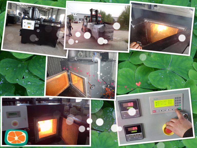 Waste-Incineration-HICLOVER-Model-TS75.JPG