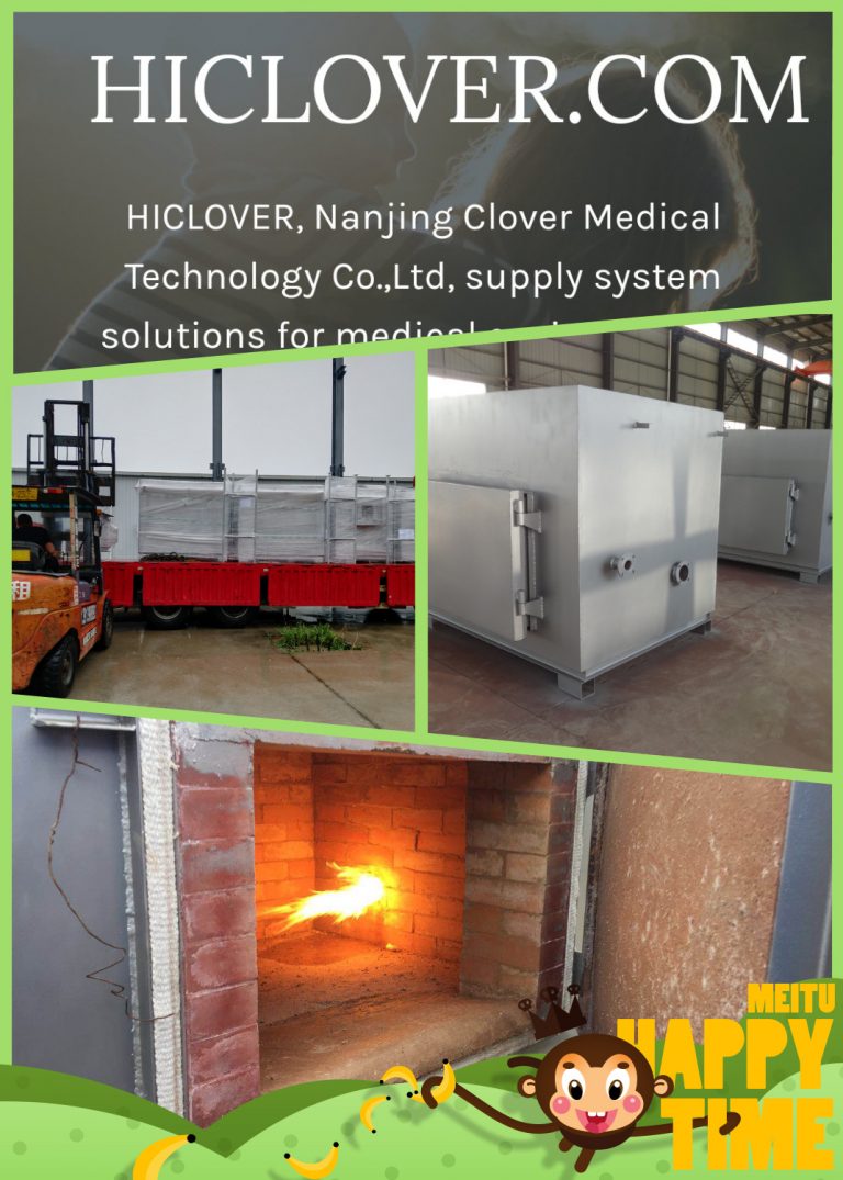Waste-Incineration-Treatment-BURNING-RATE-100-150kgs-per-hour-HICLOVER-TS150.jpg
